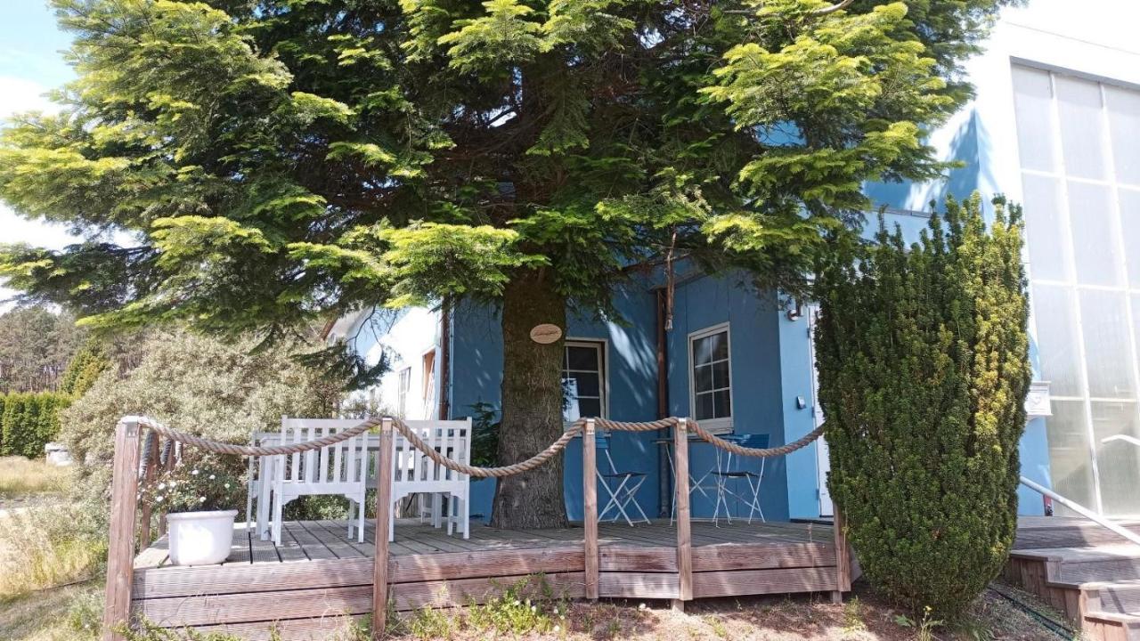 Ferienwohnung Naturparadies Gnitz Lutow Esterno foto